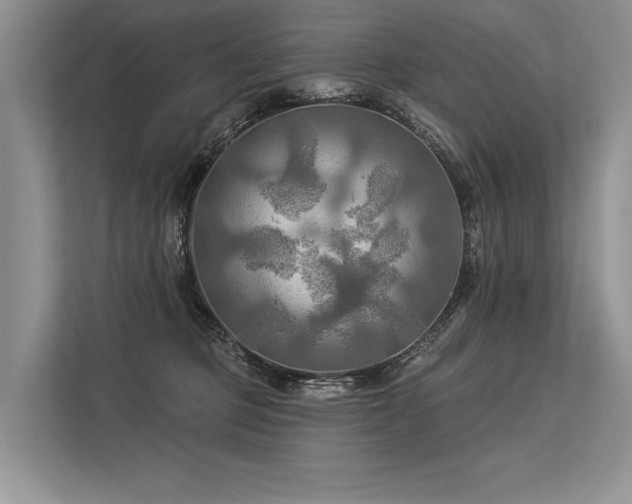 X0000113340373200909221128