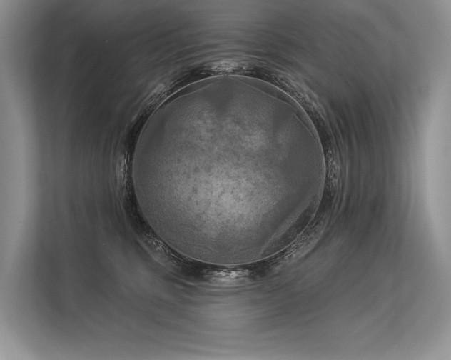 X0000113340375200909221128