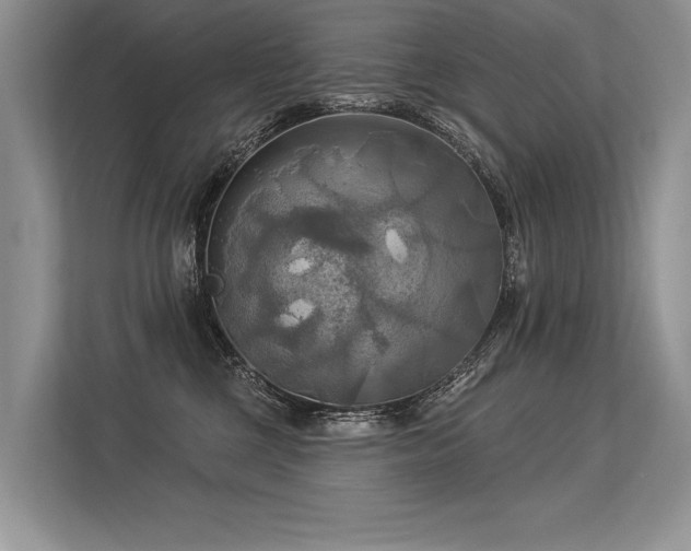 X0000113340377200909221128