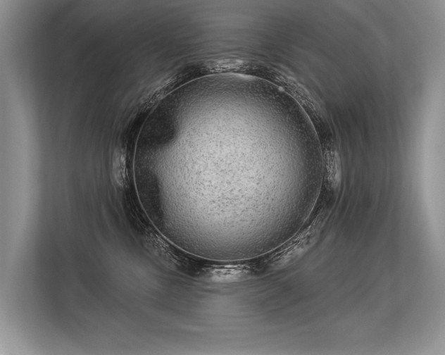 X0000113340378200909221128