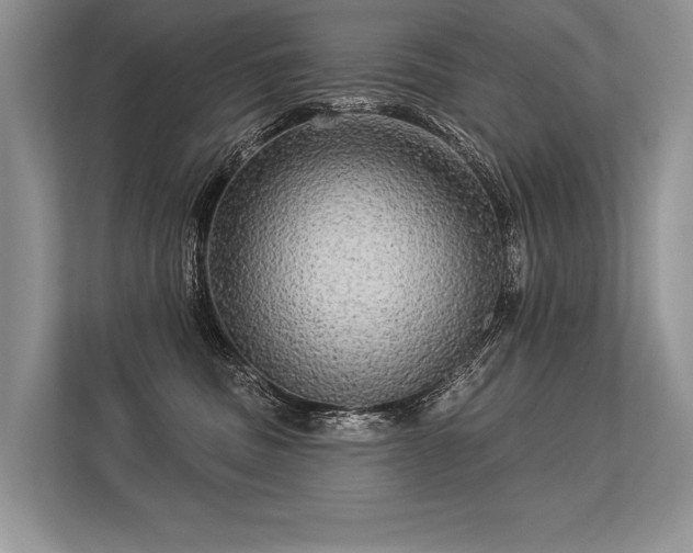 X0000113340379200909221128