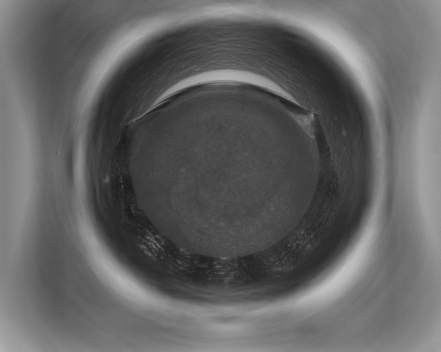 X0000113340382200909221128