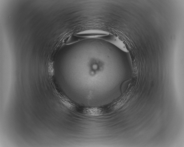 X0000113340383200909221128