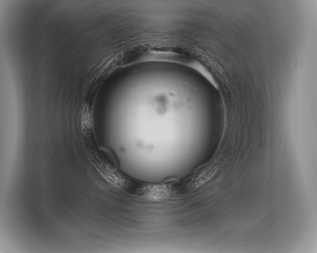 X0000113340384200909221128