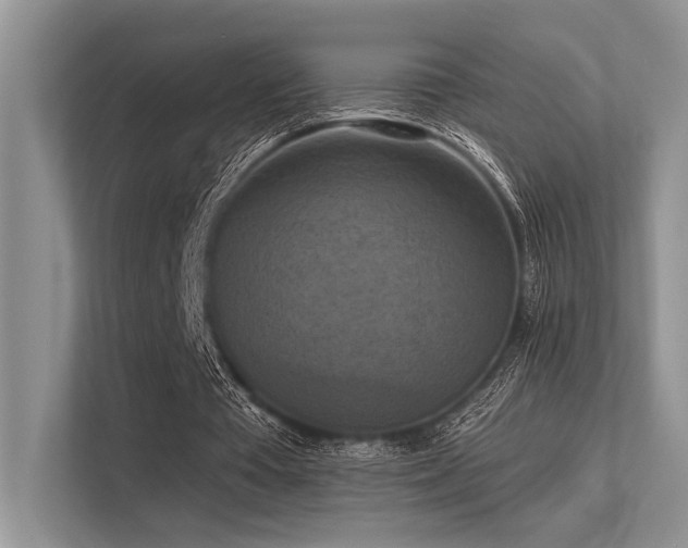 X0000113340385200909221128