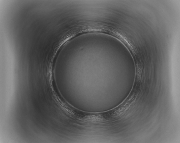 X0000113340386200909221128