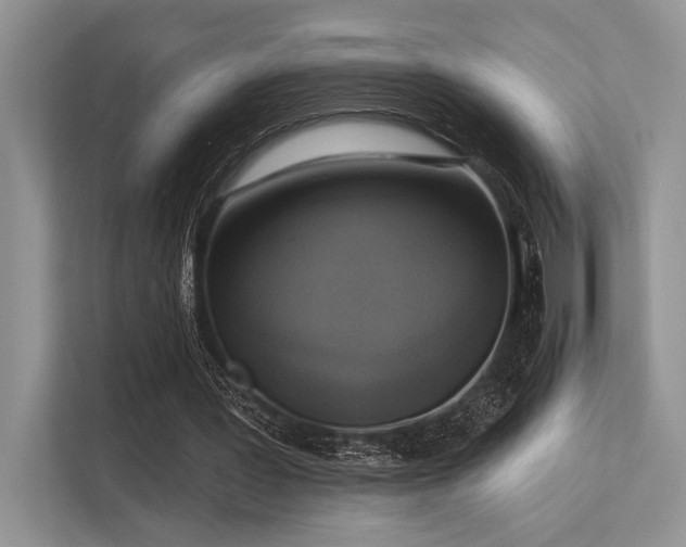 X0000113340387200909221128