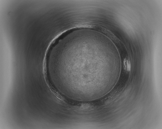 X0000113340388200909221128