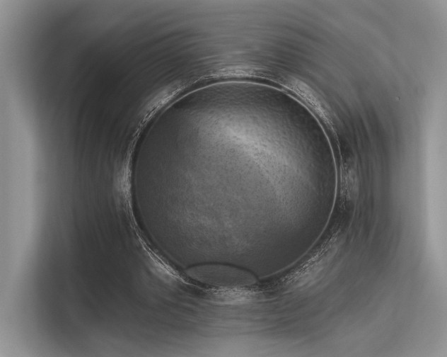 X0000113340389200909221128