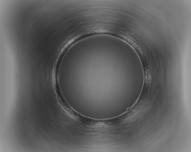 X0000113340390200909221128