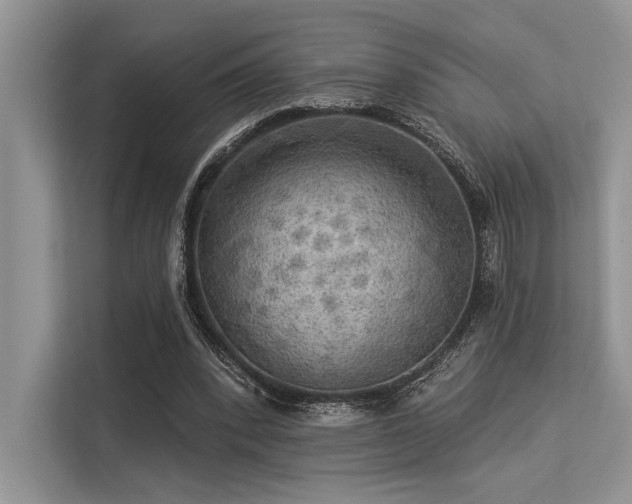 X0000113340392200909221128