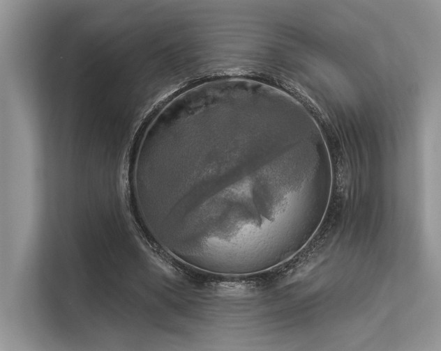 X0000113340394200909221128