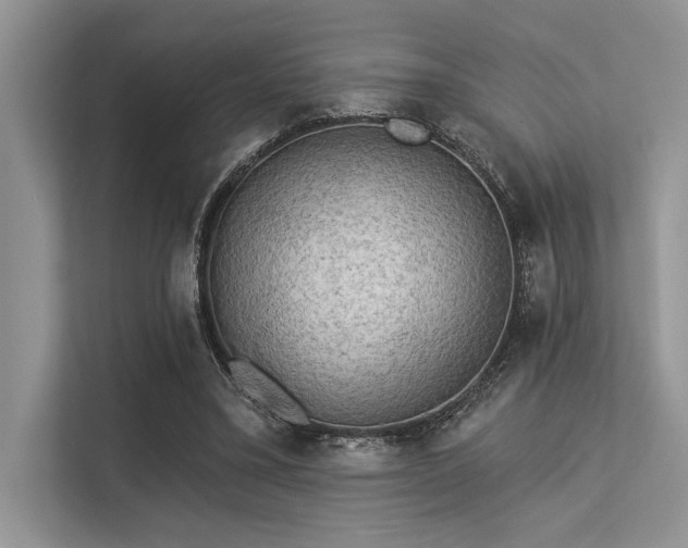 X0000113340395200909221128