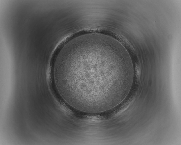 X0000113340396200909221128