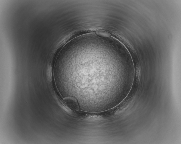 X0000113340397200909221128