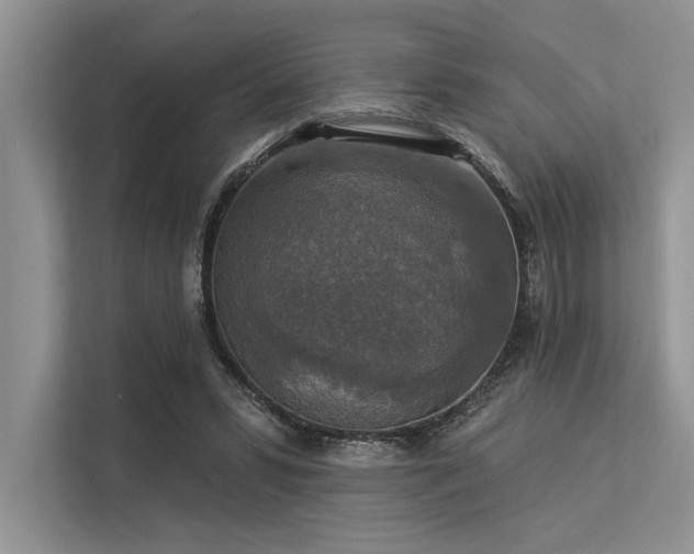 X0000113340399200909221128