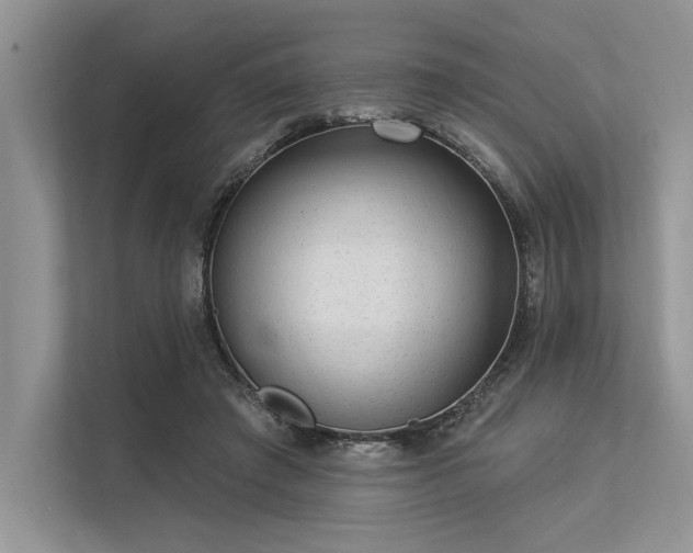 X0000113340401200909221128