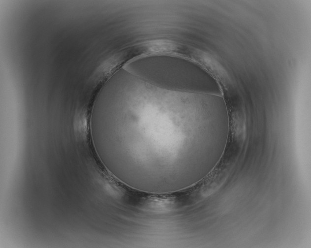 X0000113340405200909221128