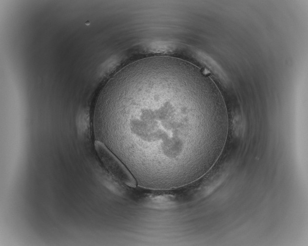 X0000113340407200909221128