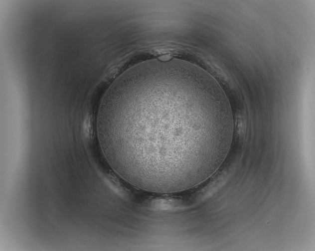 X0000113340408200909221128