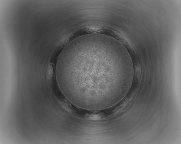 X0000113340412200909221128