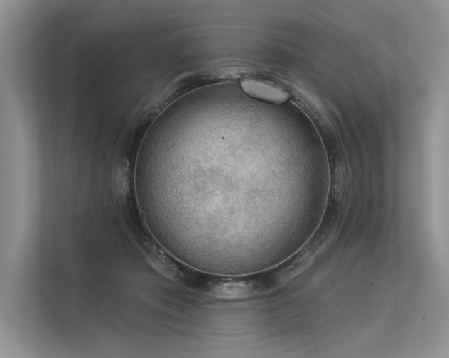 X0000113340413200909221128