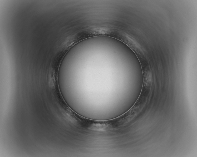 X0000113340414200909221127