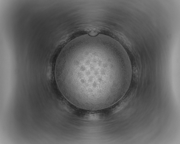 X0000113340416200909221127