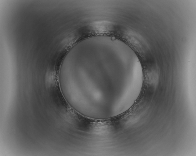 X0000113340419200909221127