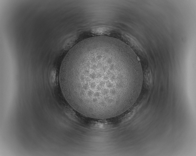 X0000113340420200909221127