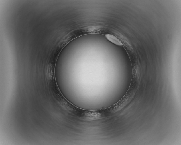 X0000113340421200909221127