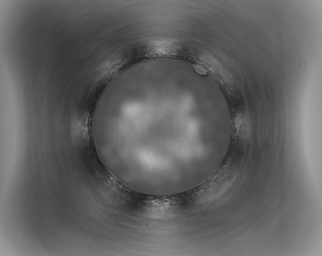 X0000113340423200909221127