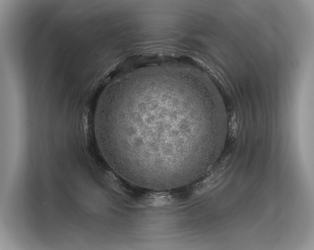 X0000113340424200909221127