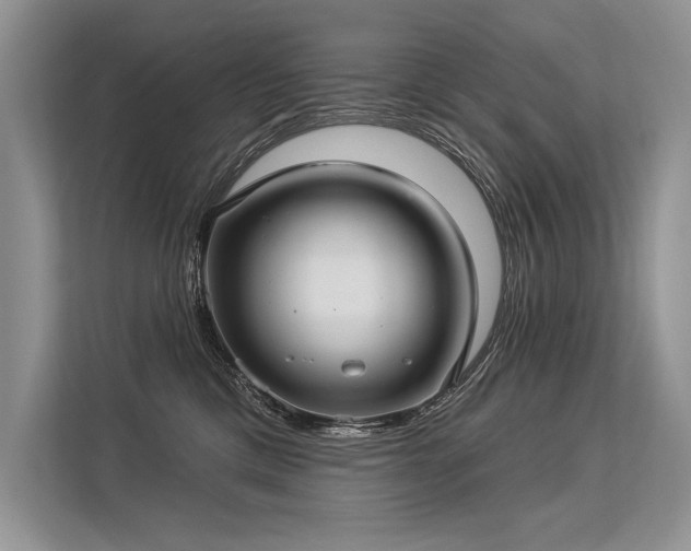 X0000113340425200909221127