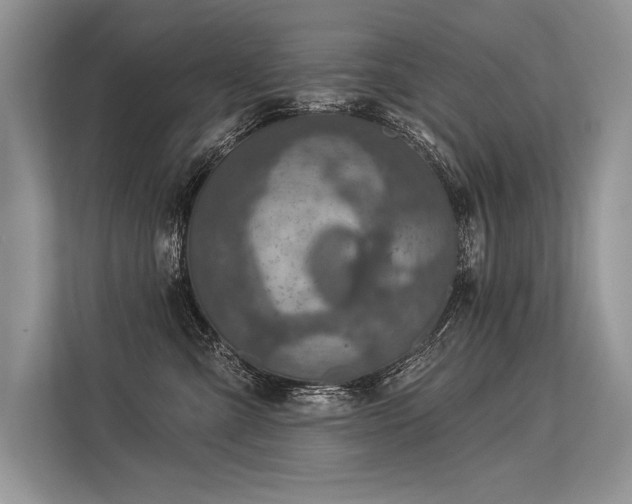 X0000113340427200909221127