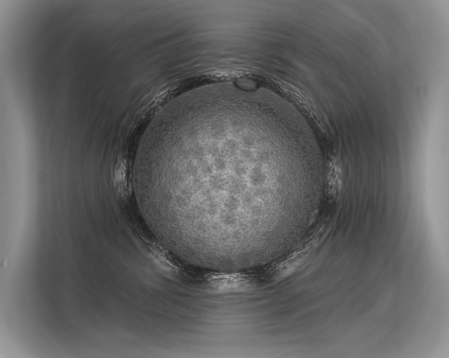 X0000113340428200909221127