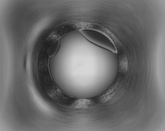 X0000113340429200909221127