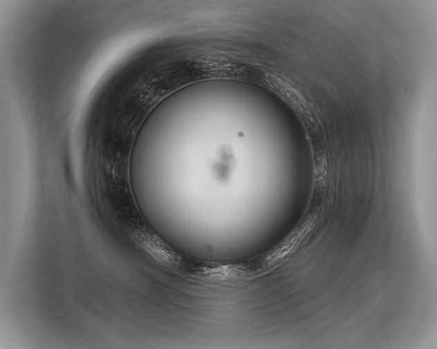 X0000113340430200909221127