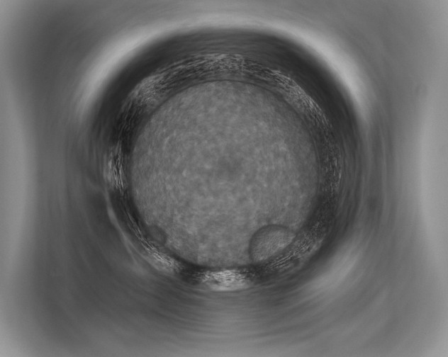 X0000113340431200909221127