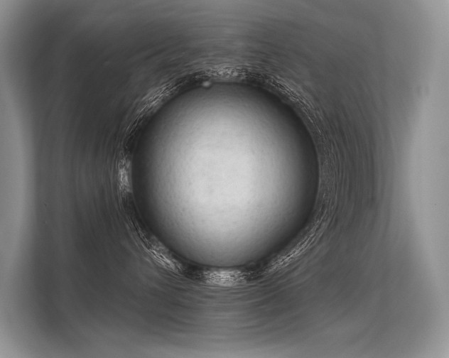 X0000113340432200909221127