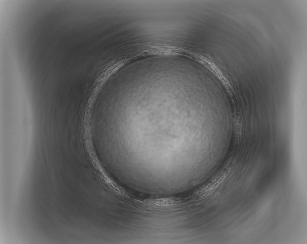 X0000113340433200909221126