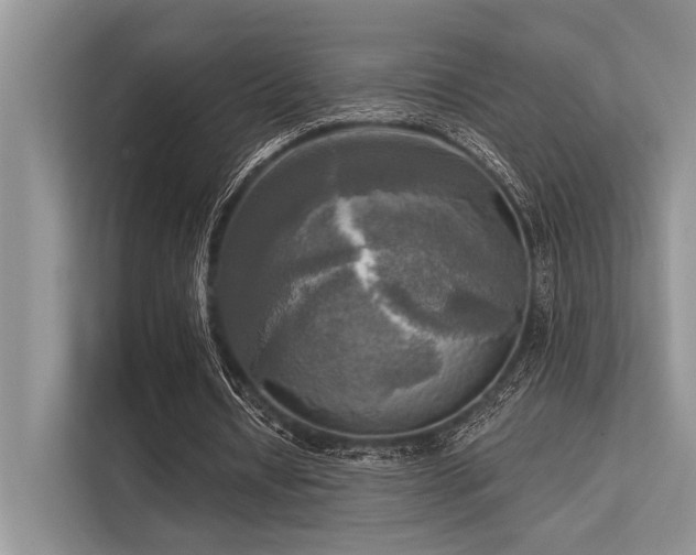 X0000113340434200909221126