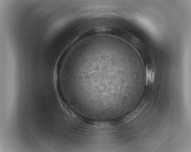 X0000113340435200909221126