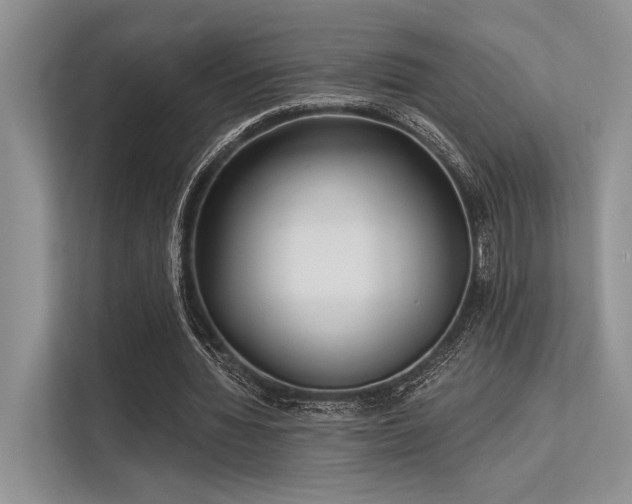 X0000113340436200909221126