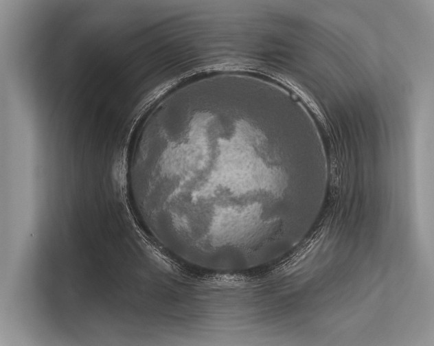 X0000113340437200909221127