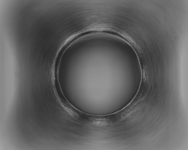 X0000113340438200909221127