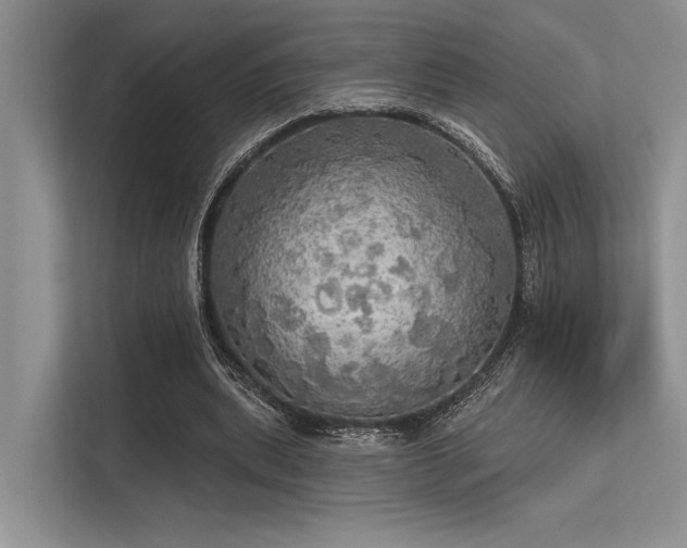 X0000113340439200909221127