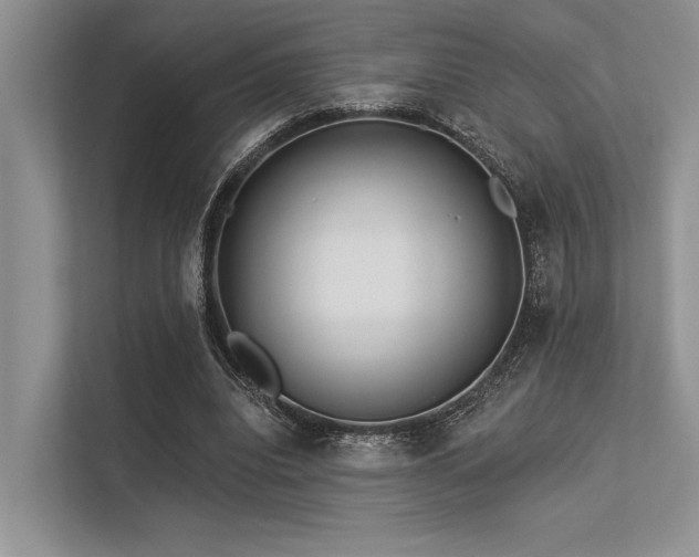 X0000113340440200909221127