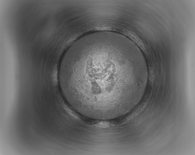 X0000113340441200909221127