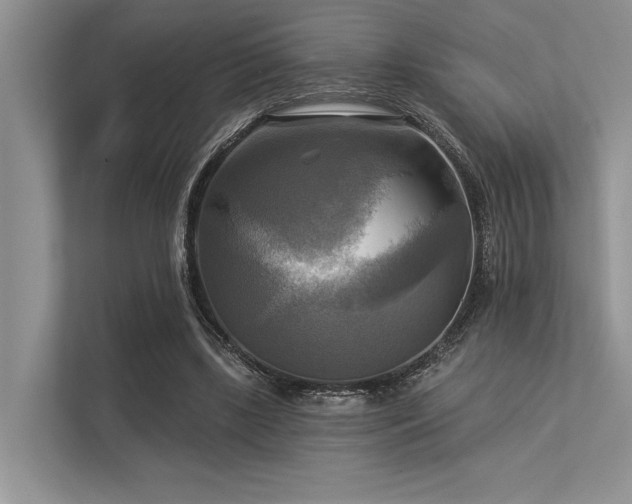 X0000113340443200909221127